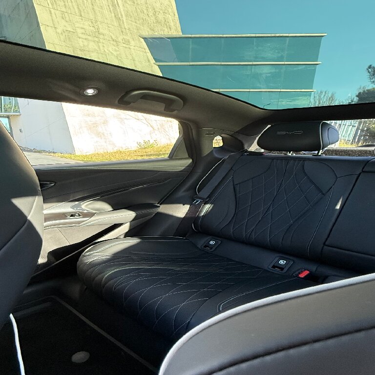 Mietwagen mit Fahrer: BYD