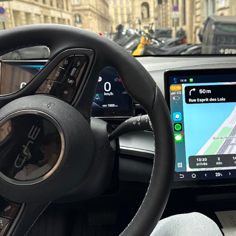 Mietwagen mit Fahrer: BYD