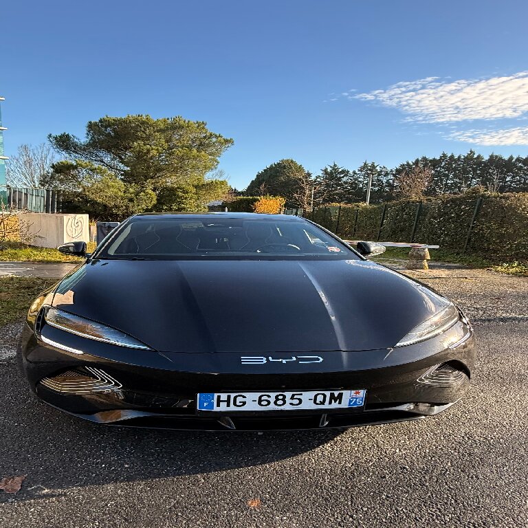 Mietwagen mit Fahrer: BYD