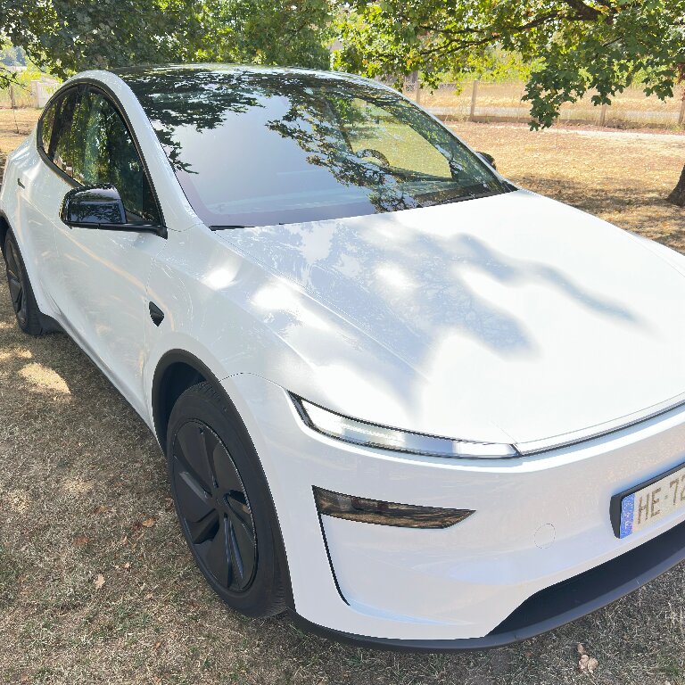 Taxi: Tesla