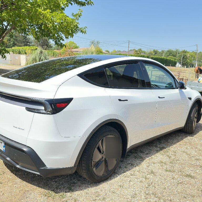 Taxi: Tesla