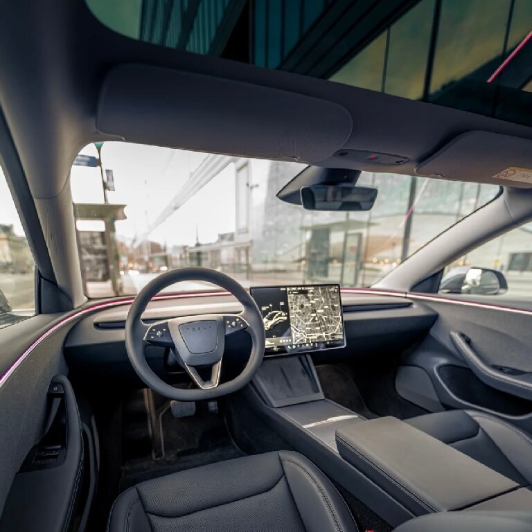 Mietwagen mit Fahrer: Tesla
