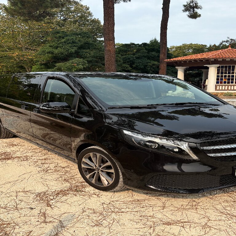Taxi: Mercedes