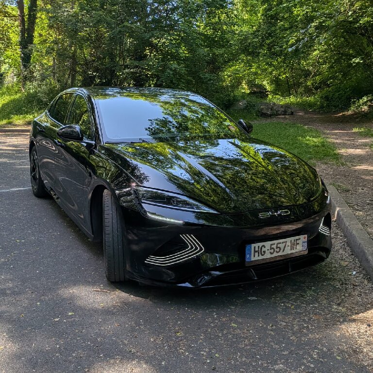 Mietwagen mit Fahrer: BYD