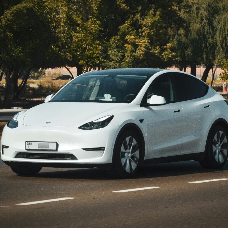Mietwagen mit Fahrer: Tesla