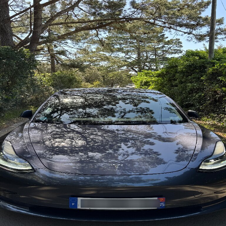 Personenvervoer: Tesla