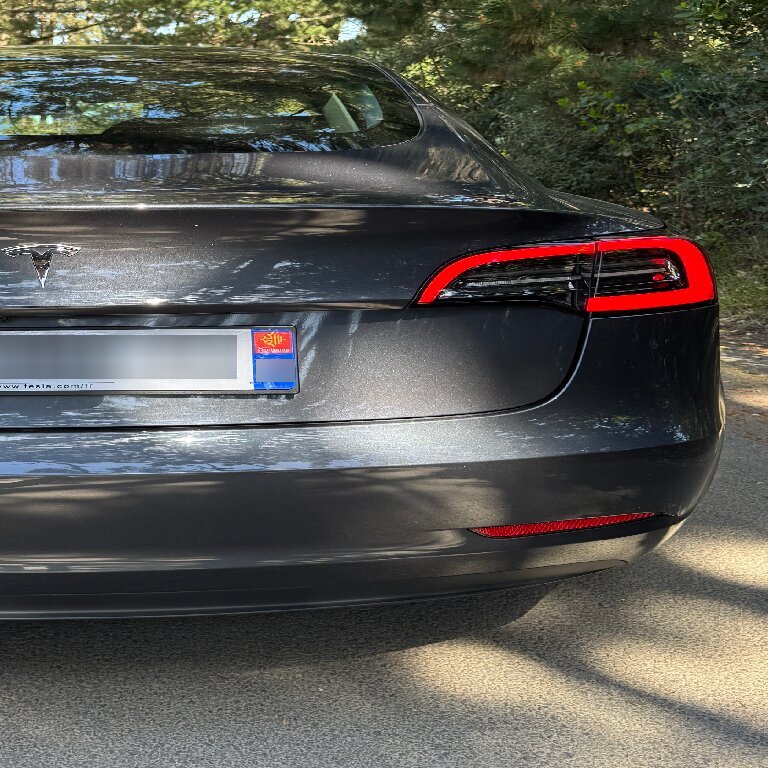 Personenvervoer: Tesla