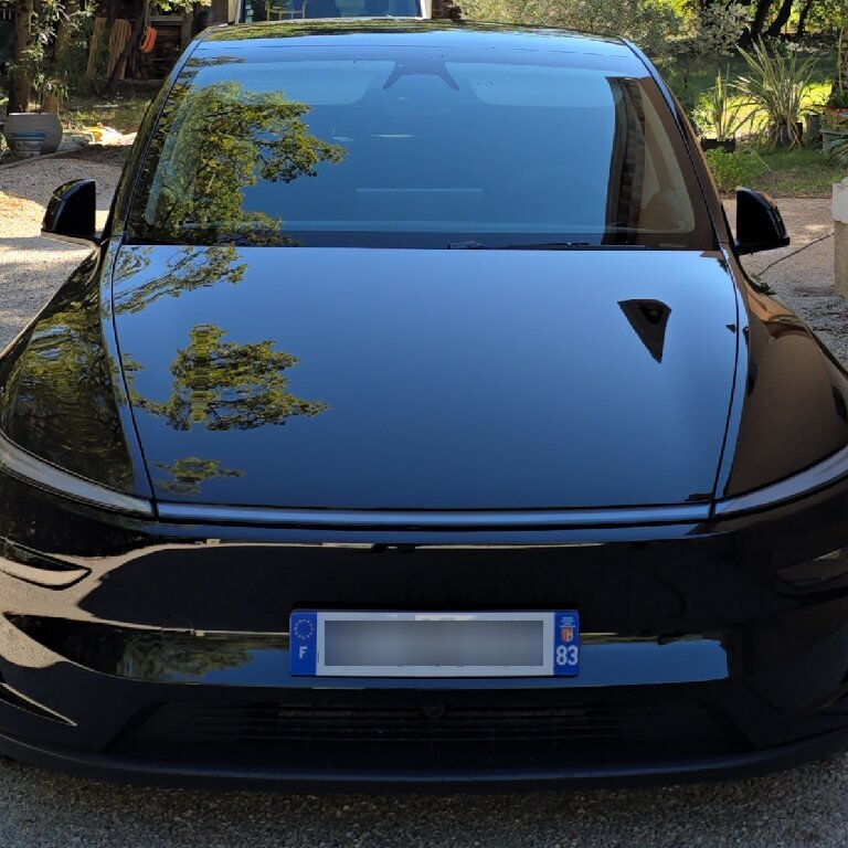 Mietwagen mit Fahrer: Tesla