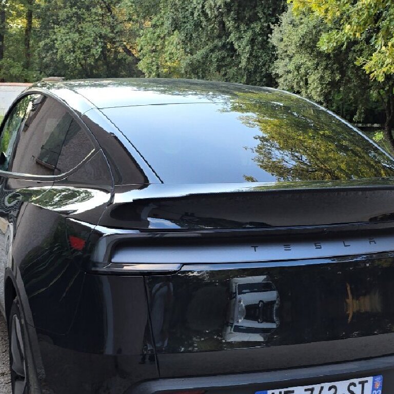 Mietwagen mit Fahrer: Tesla