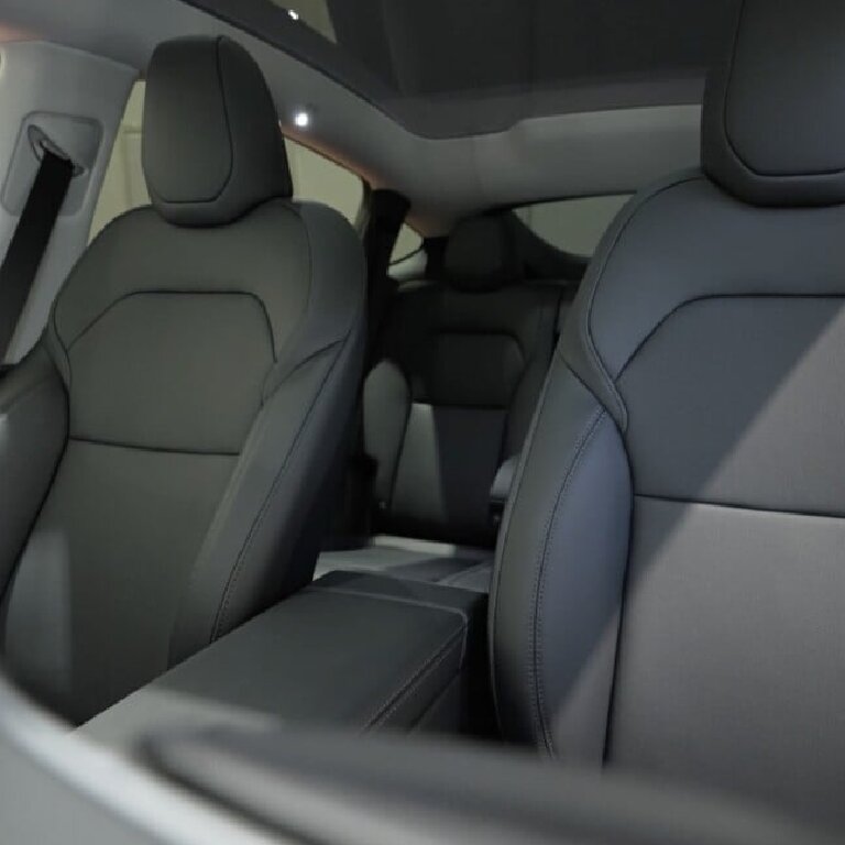 Mietwagen mit Fahrer: Tesla