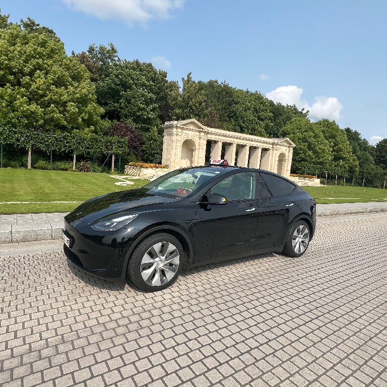 Taxi: Tesla