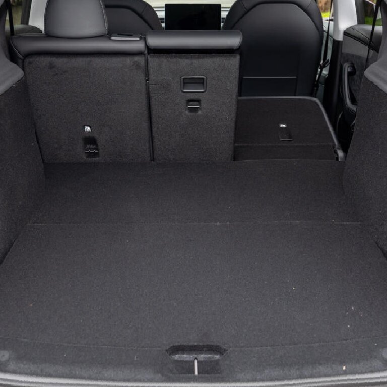 Mietwagen mit Fahrer: Tesla