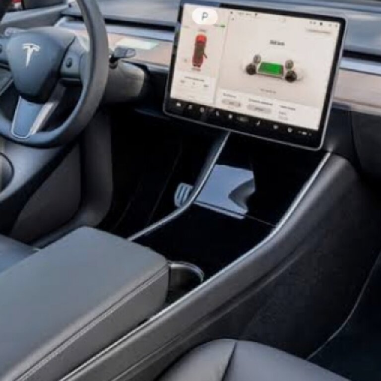 Mietwagen mit Fahrer: Tesla