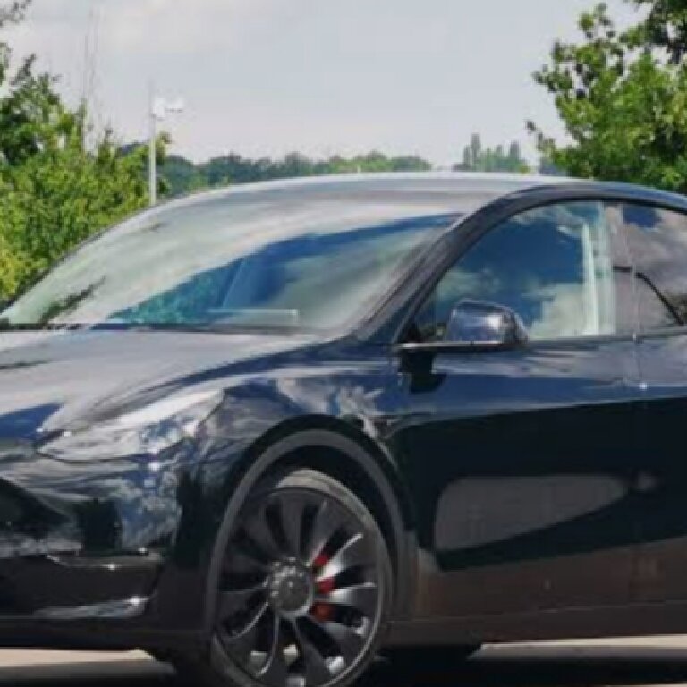 Mietwagen mit Fahrer: Tesla