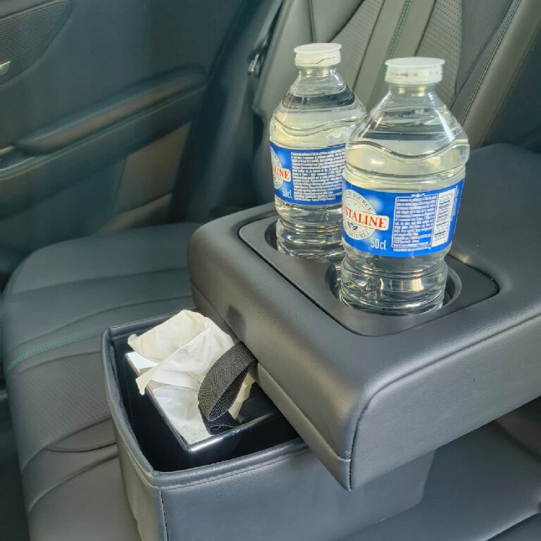Mietwagen mit Fahrer: BYD