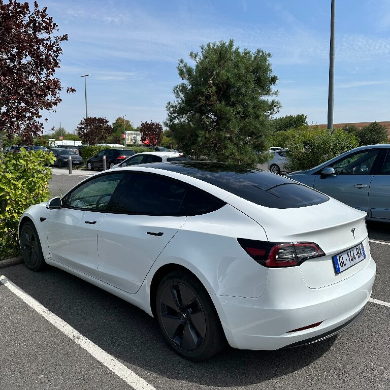Mietwagen mit Fahrer: Tesla
