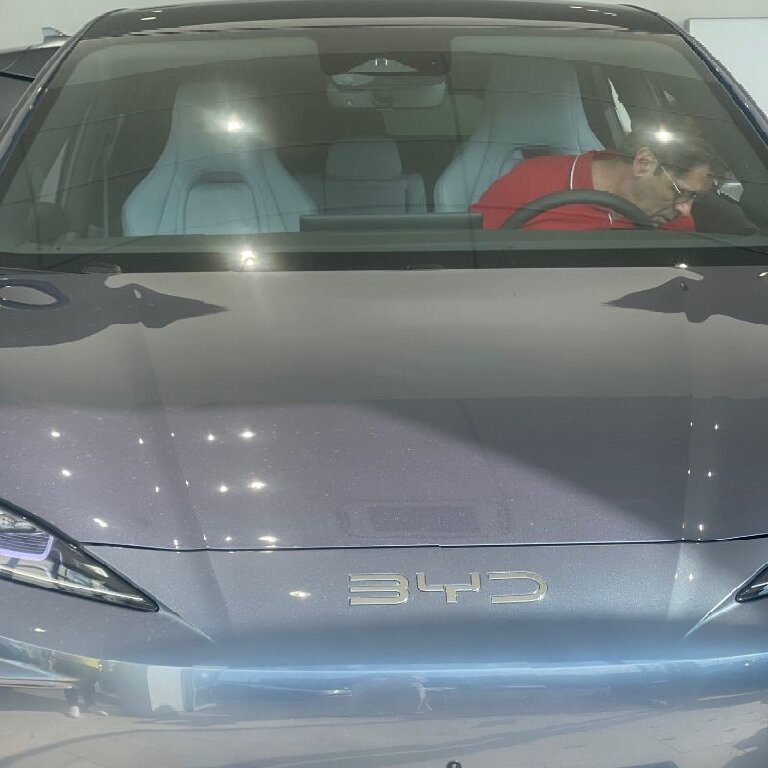 Mietwagen mit Fahrer: BYD