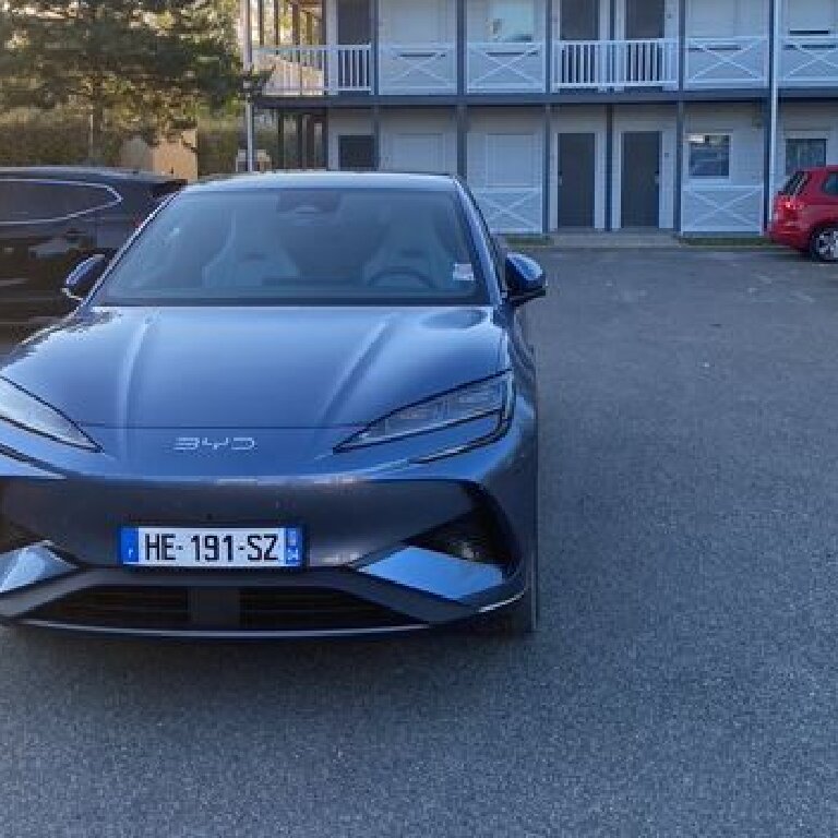 Mietwagen mit Fahrer: BYD