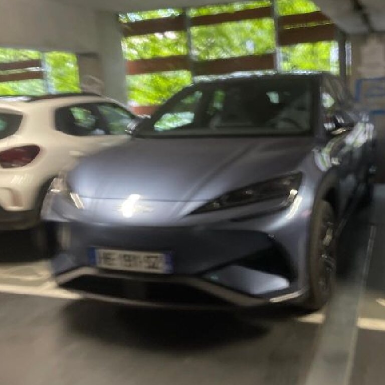 Mietwagen mit Fahrer: BYD