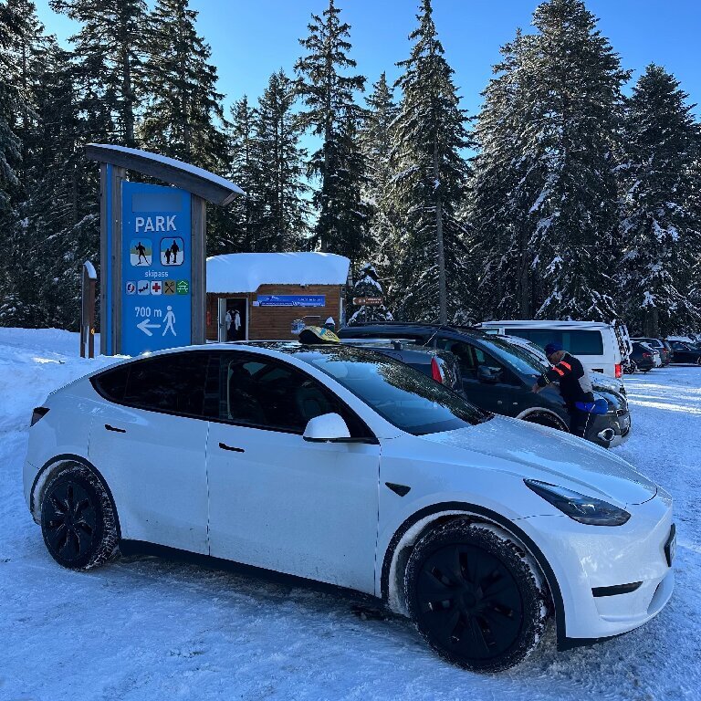 Taxi: Tesla