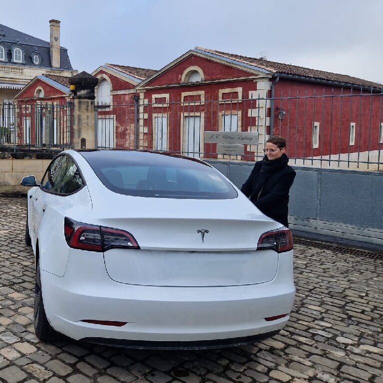 Mietwagen mit Fahrer: Tesla