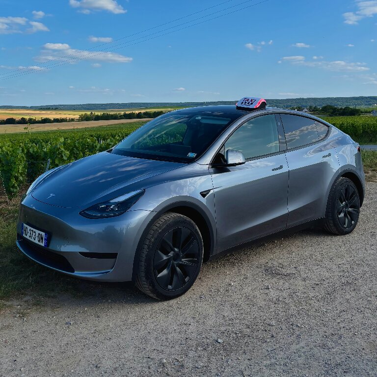 Taxi: Tesla