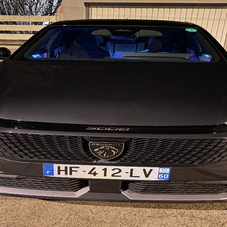 Mietwagen mit Fahrer: Peugeot