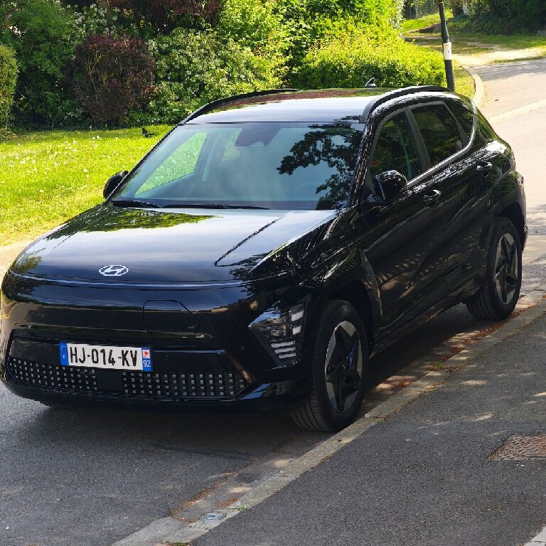 Mietwagen mit Fahrer: Hyundai