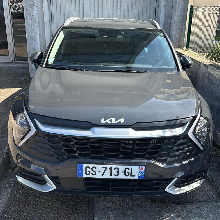 Mietwagen mit Fahrer: Kia