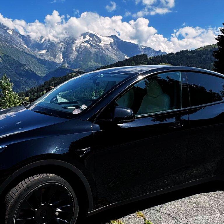 Personenvervoer: Tesla