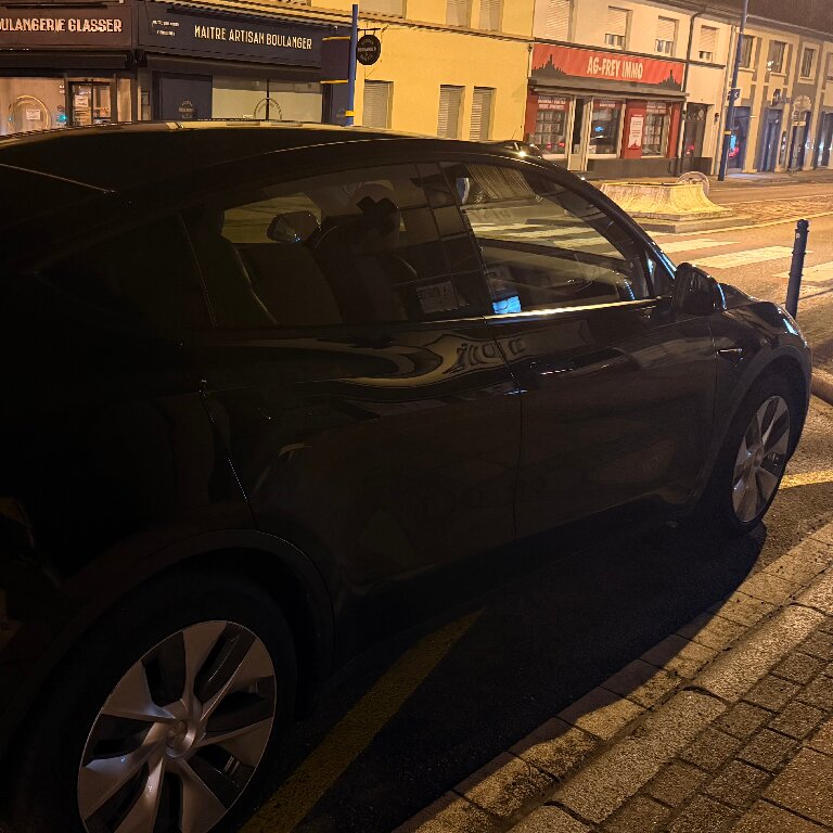 Mietwagen mit Fahrer: Tesla