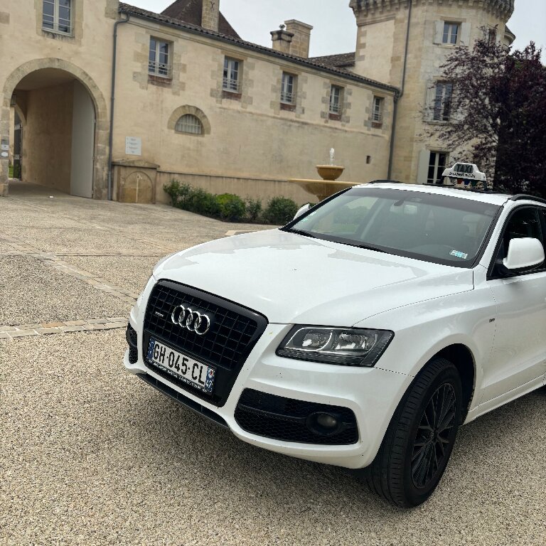 Taxi: Audi
