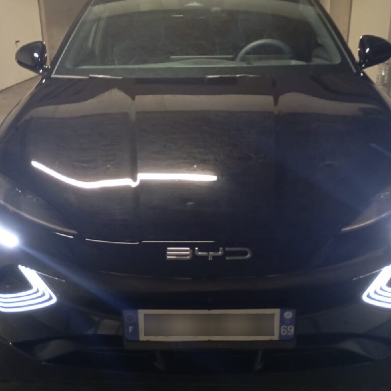 Personenvervoer: BYD