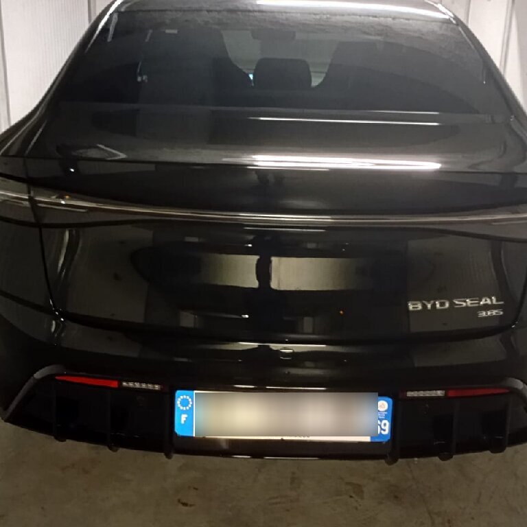 Personenvervoer: BYD