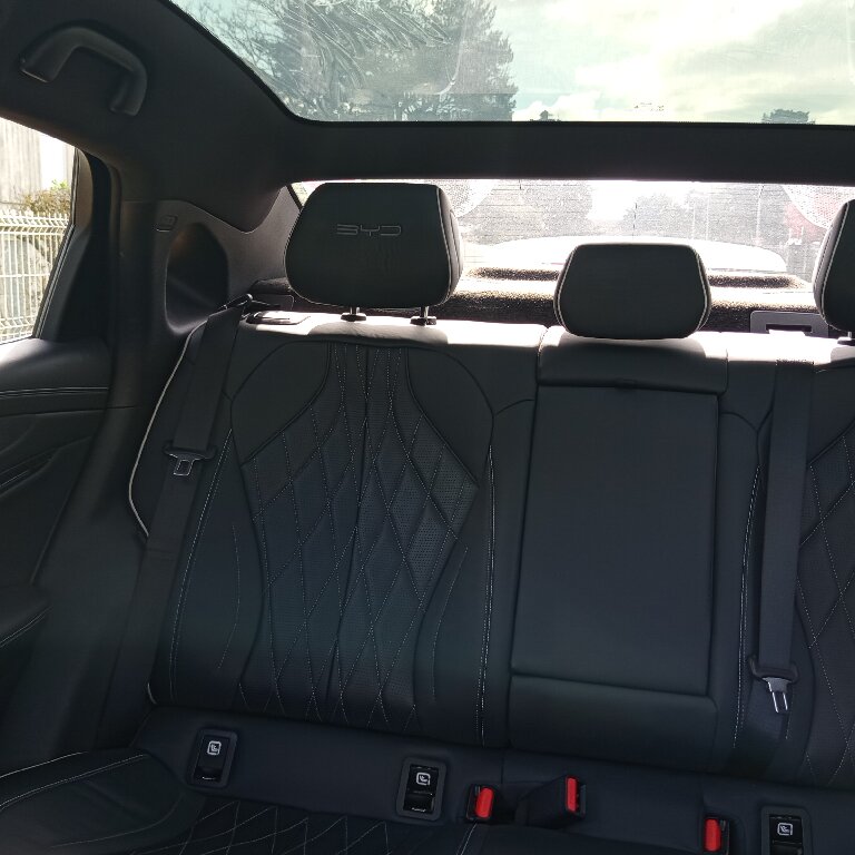 Personenvervoer: BYD