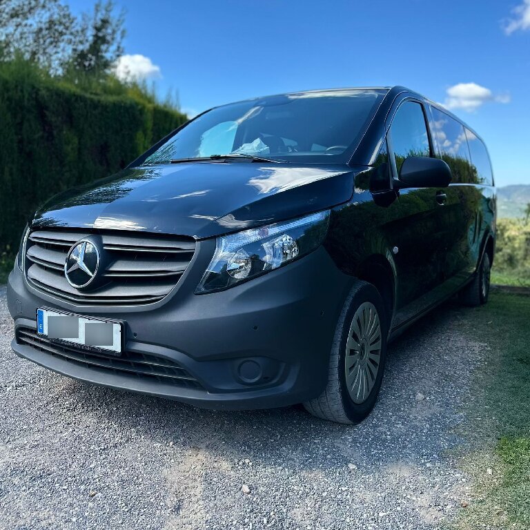 Mietwagen mit Fahrer: Mercedes