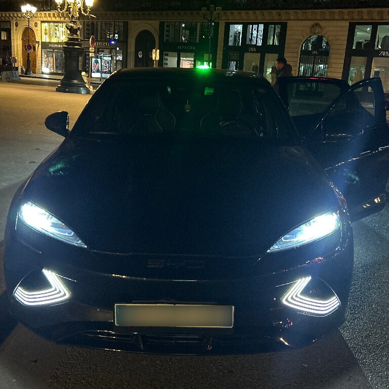 Mietwagen mit Fahrer: BYD