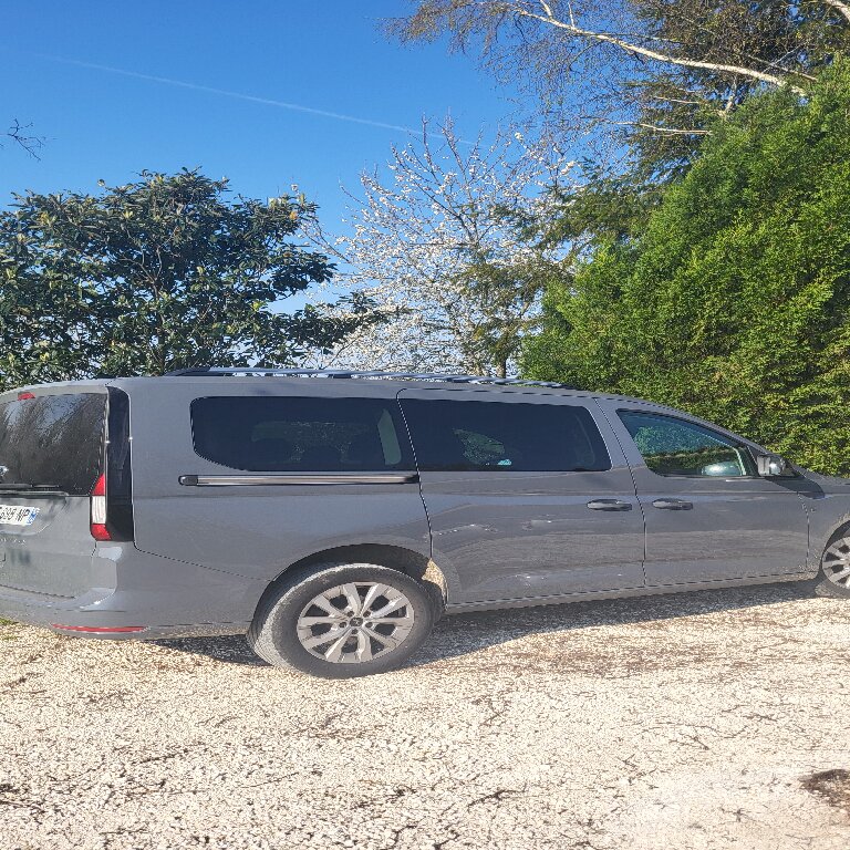 Mietwagen mit Fahrer: Ford