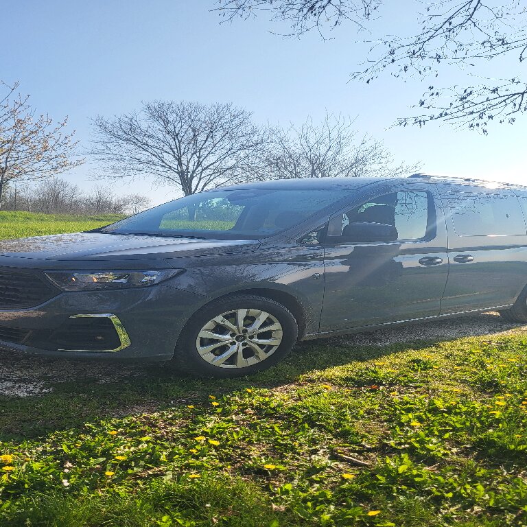 Mietwagen mit Fahrer: Ford