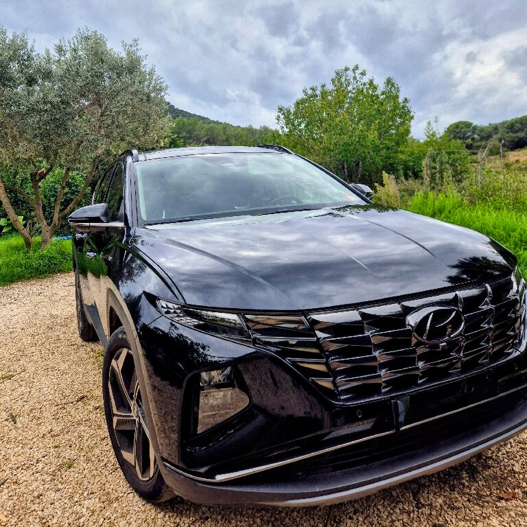 Mietwagen mit Fahrer: Hyundai