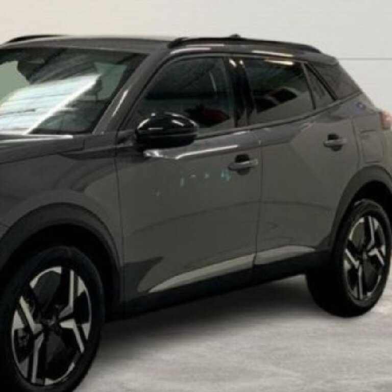 Personenvervoer: Peugeot