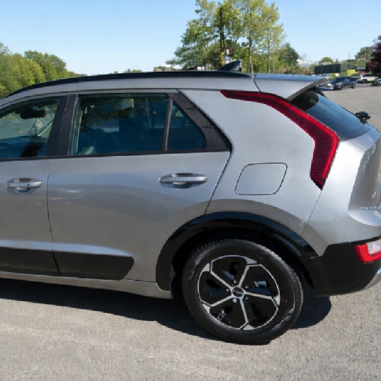 Mietwagen mit Fahrer: Kia