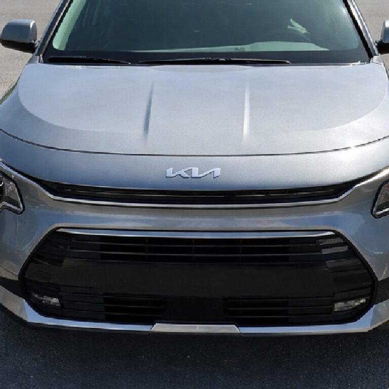 Mietwagen mit Fahrer: Kia