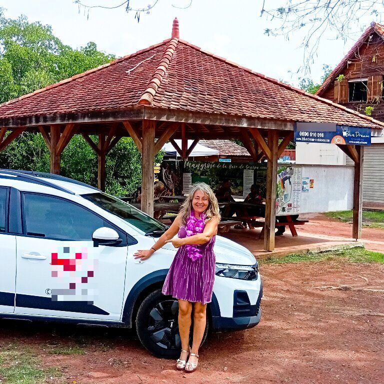 Mietwagen mit Fahrer: Dacia