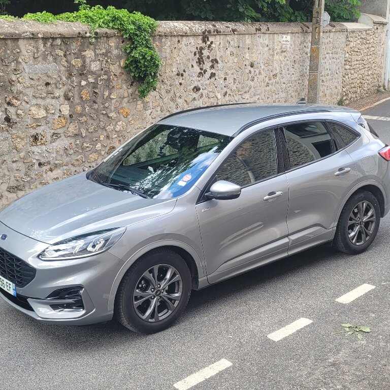 Personenvervoer: Ford