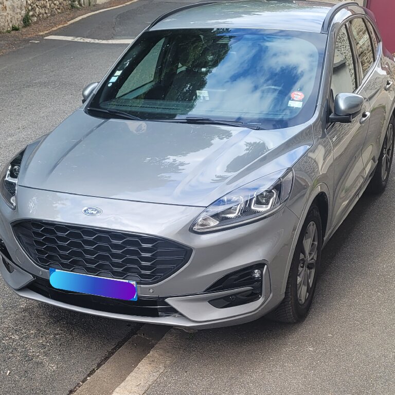 Personenvervoer: Ford