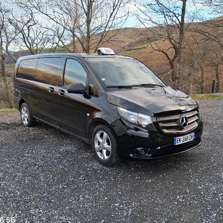 Taxi: Mercedes