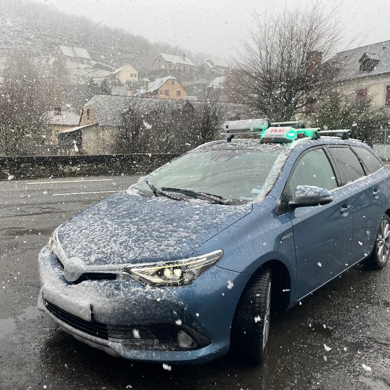 Taxi: Toyota