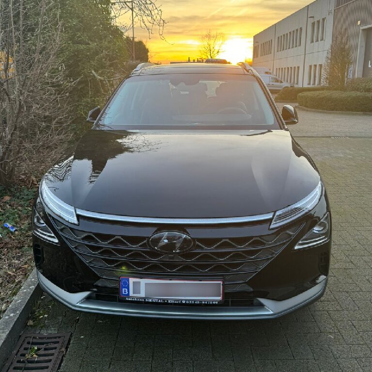 Taxi: Hyundai