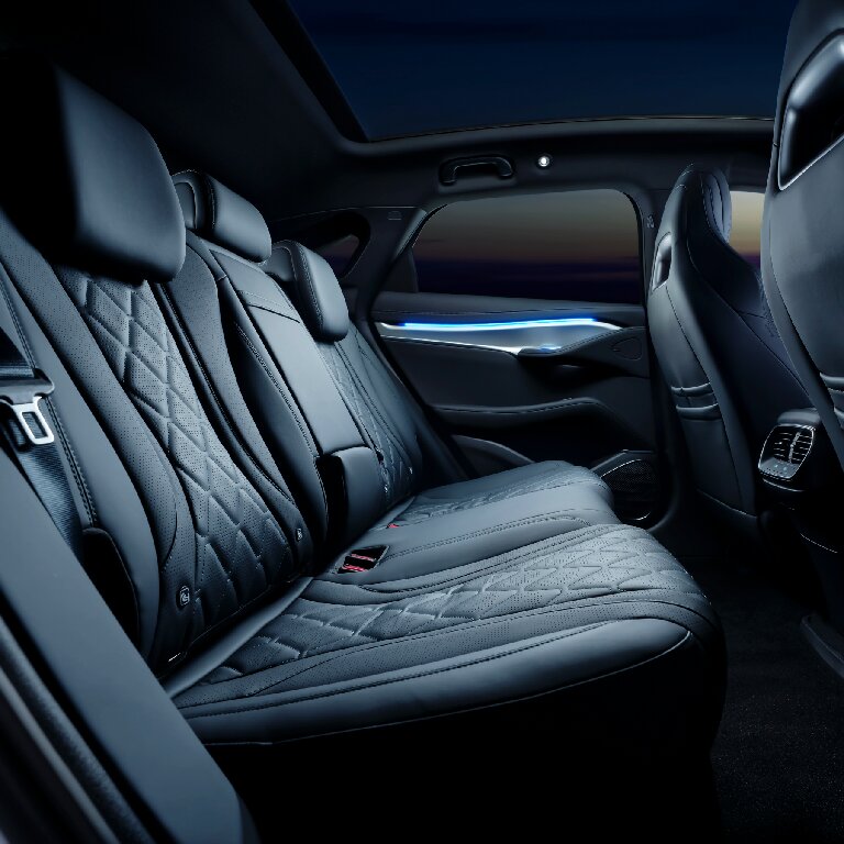 Personenvervoer: BYD